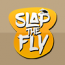 Baixar Slap The Fly