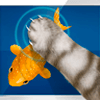 Baixar Cat Simulator Fisherman para Android