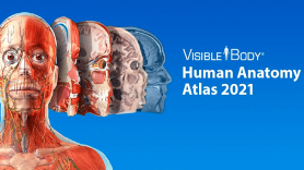 Baixar Human Anatomy Atlas 2021 para Android