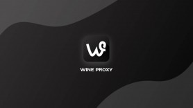 Baixar Wine Proxy: Security Tech para Android