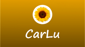 Baixar Blog CarLu - Carlinhos Maia para Android