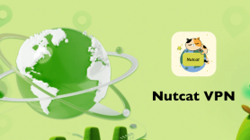 Baixar Nutcat VPN para Android