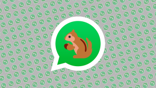 Bug do WhatsApp: conheça o erro causado por emojis