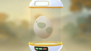 Fim de ano no Pokémon GO terá incubadores e iniciais