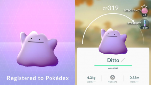 Como capturar o Ditto em Pokémon GO