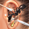 Baixar Age of Ants: Bug War Simulator para Android
