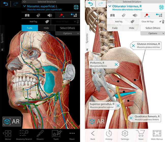 baixe gratis apk Human Anatomy Atlas 2021: Complete 3D Human Body