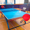 Baixar Table Tennis Touch para Android