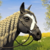 Baixar Star Equestrian - Horse Ranch para Android