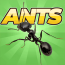 Baixar Pocket Ants: Colony Simulator para Android