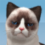 Baixar My Cat:Pet Game Simulator para Android