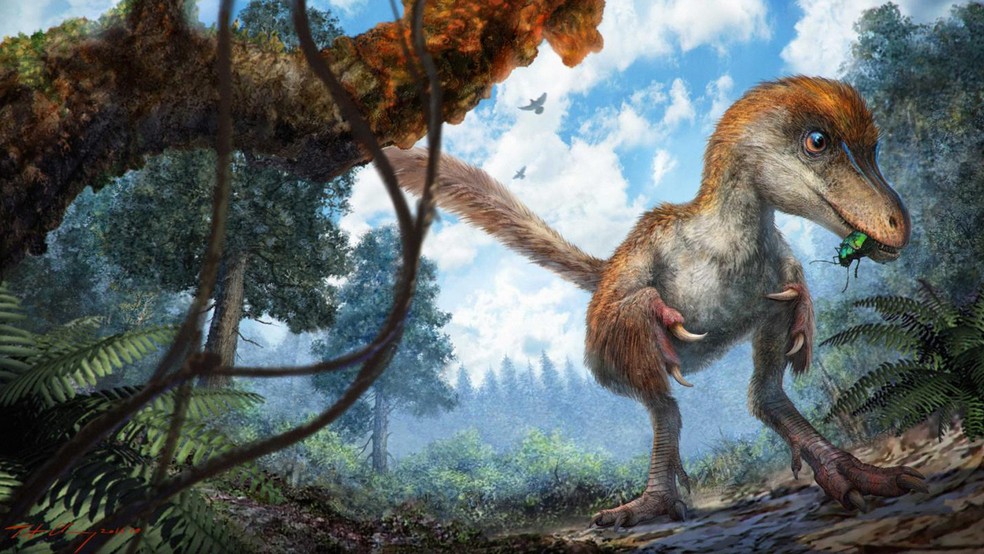 Jurassic Park? Cientistas encontram cauda de dinossauro preservada em âmbar