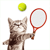 Baixar Cat Meow Tennis: Sport Battle para Android