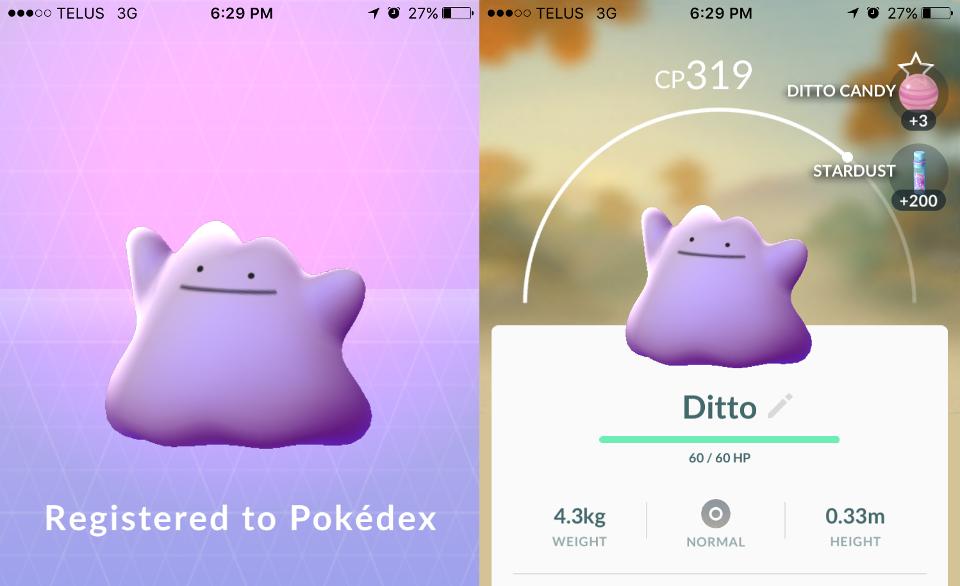 Como capturar o Ditto em Pokémon GO