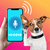 Baixar Tradutor de humano para cão para Android