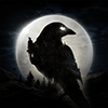 Baixar Night Crows para Android